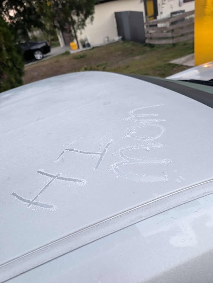 Lauren Kreidler tweet media