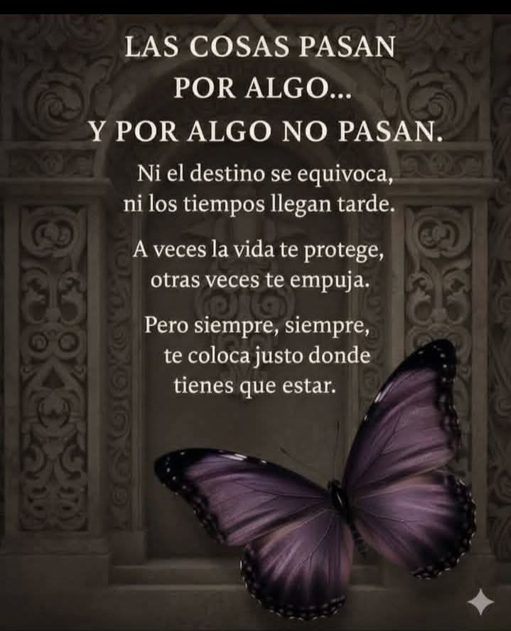 🦋🄼🄾🅃🄸🅅🄾🅂🦋 tweet media