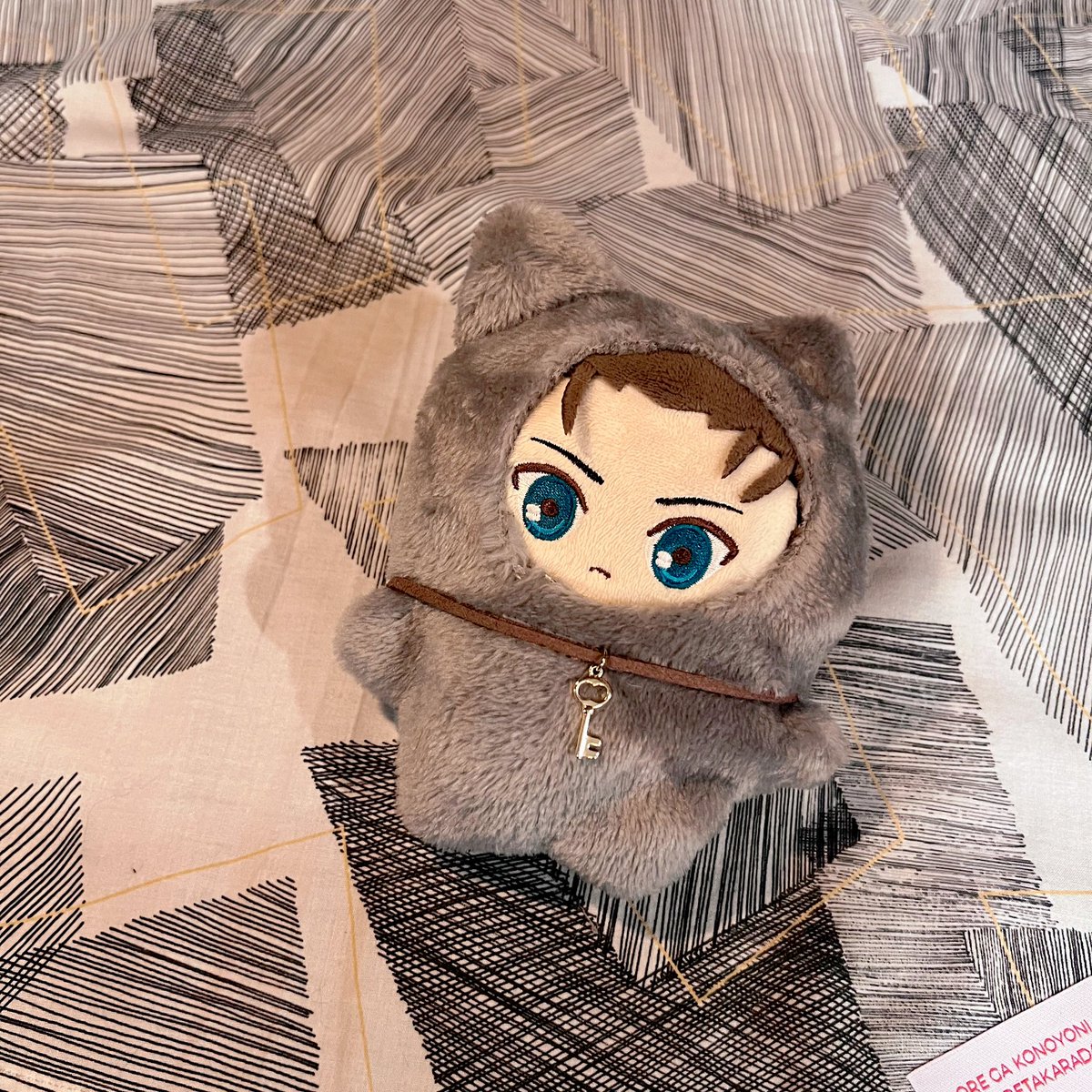 ちみけもいなくたってオレがいるだろ的な……(着ぐるみセリアです)