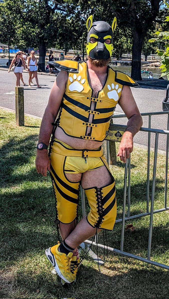 afurrybum.bsky.social tweet media