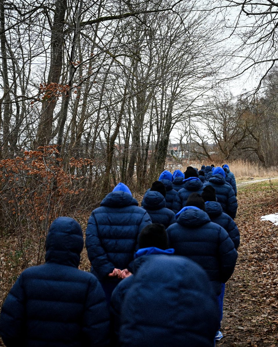 Oxygénation 🍃
#BleuetFier