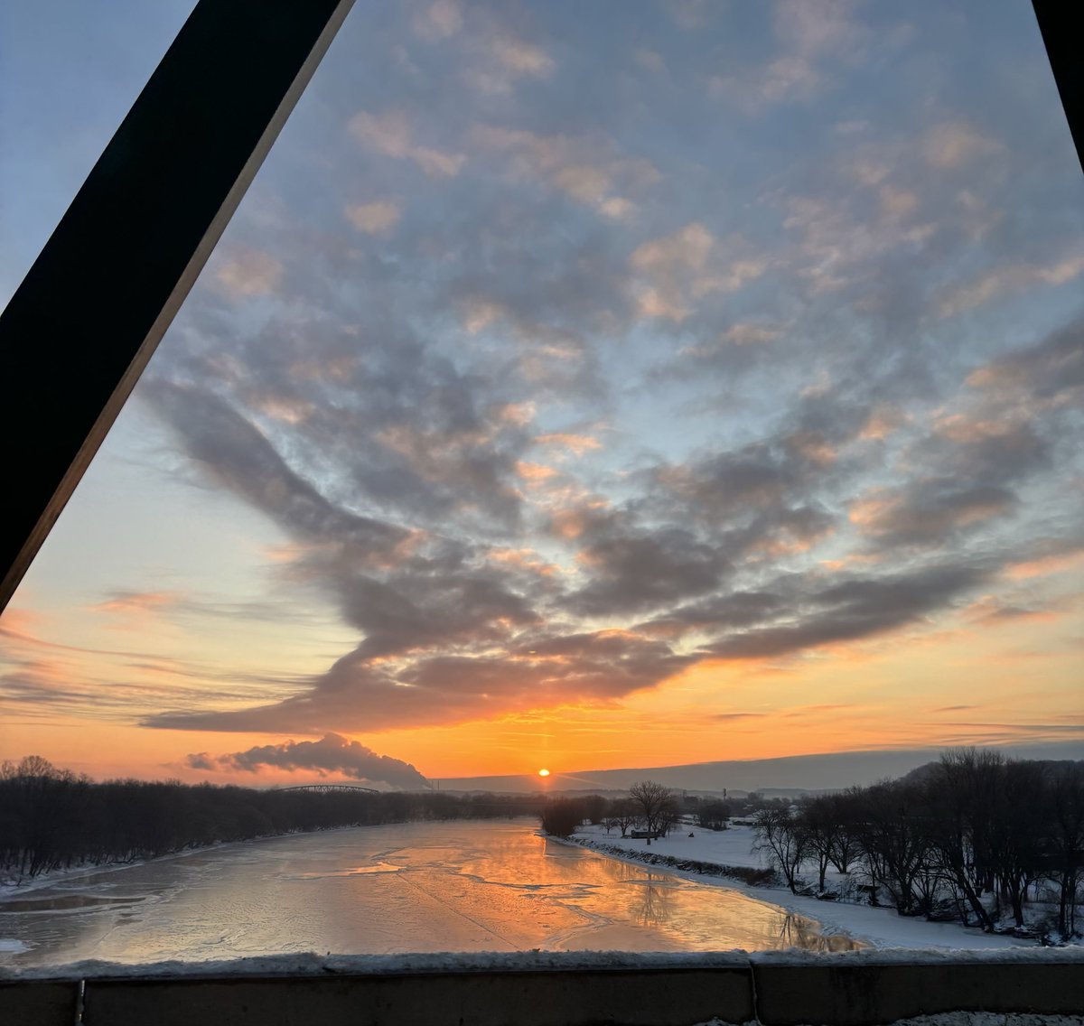 Austin Cordova tweet media