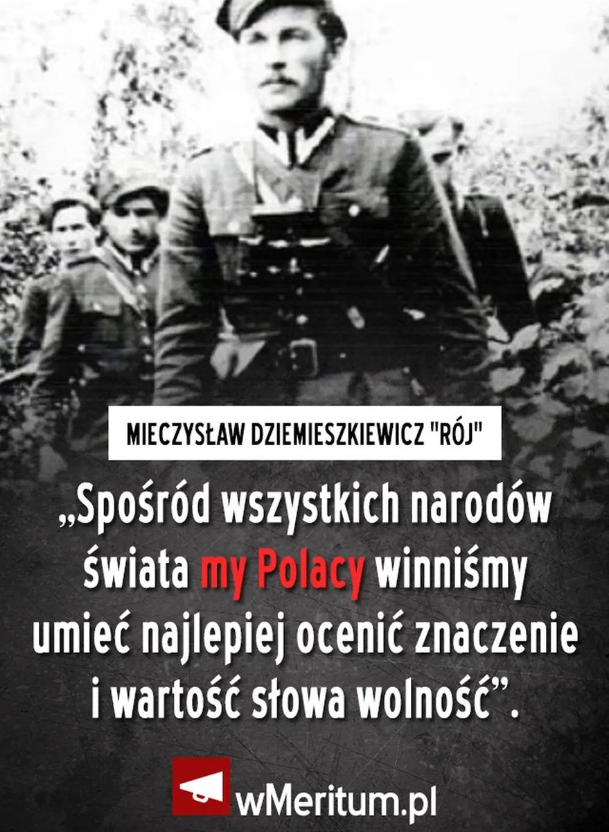 Tusk Vision Network tweet media