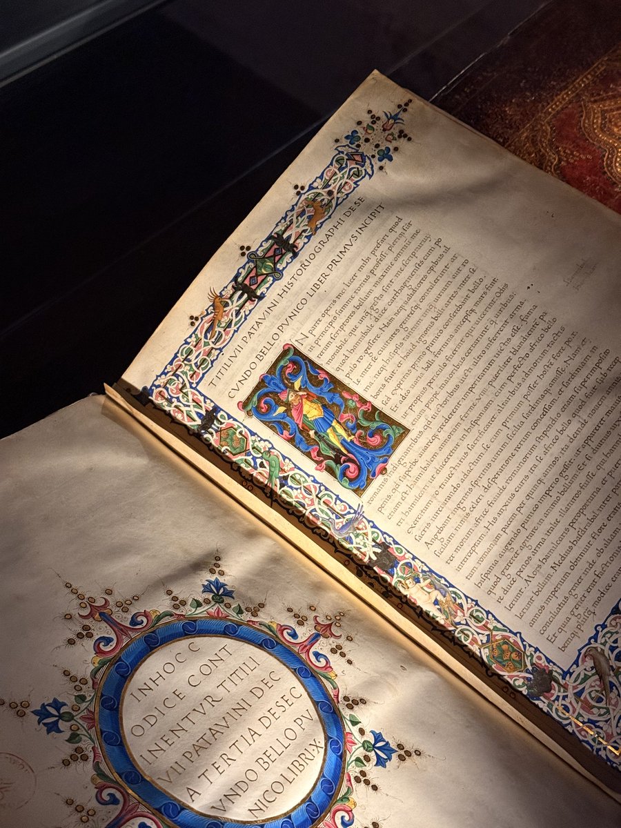 Klemens 🦆 Art of Fauna tweet media