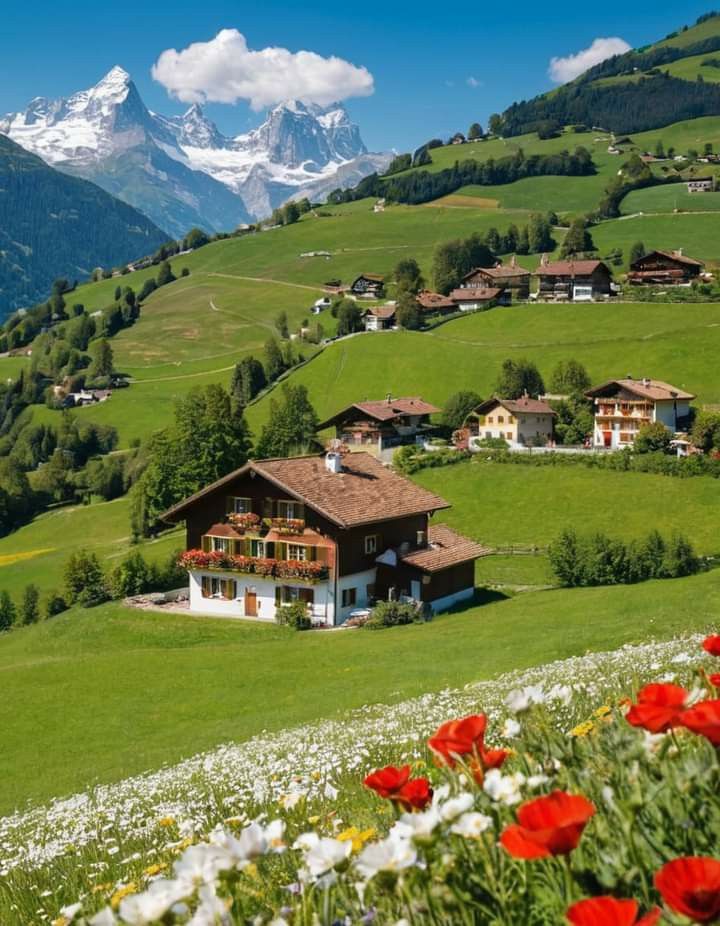 adonispara's tweet image. Getting rich to get away from modern ugliness