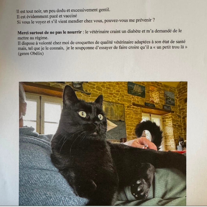 Sandra B. tweet media