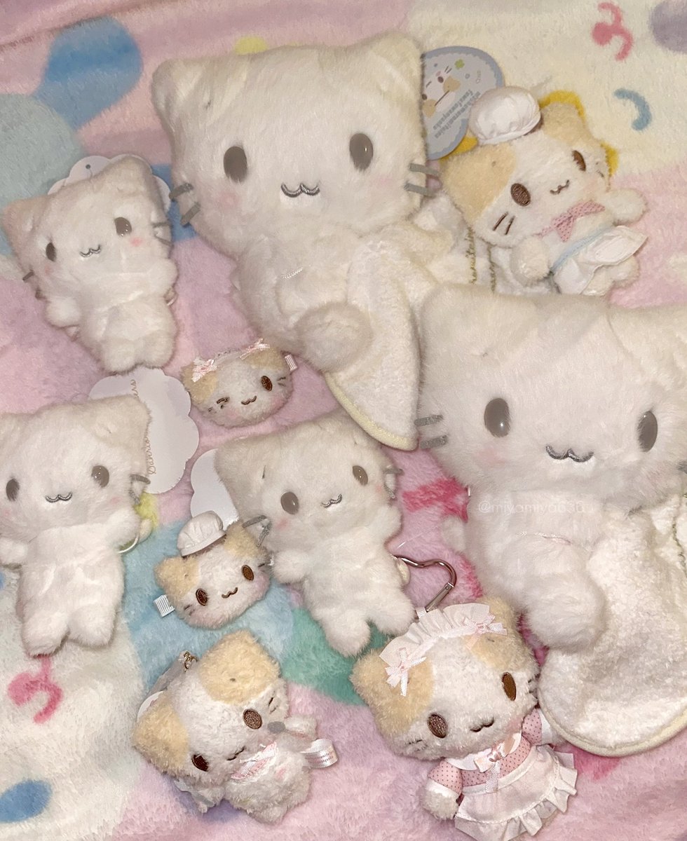 みや☆ tweet media