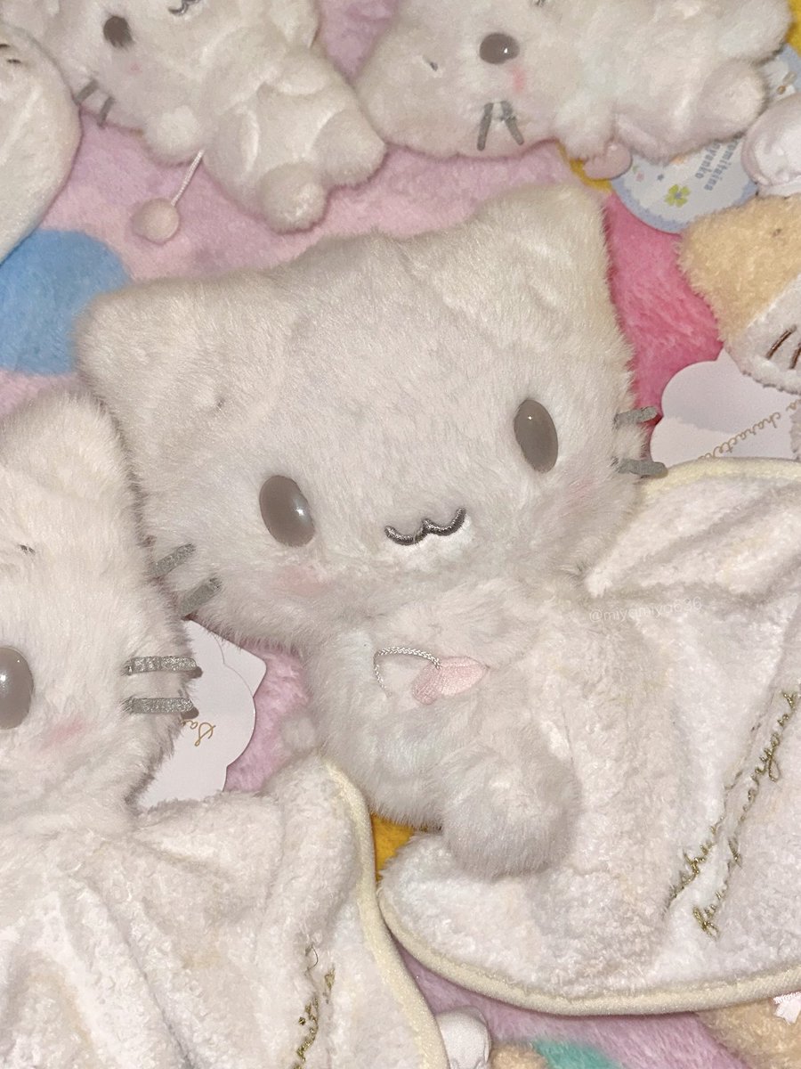 みや☆ tweet media