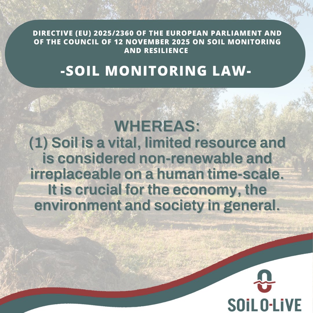 SoilOlive's tweet photo. 📢 New Series: Analyzing EU Directive 2025/2360 on Soil Resilience. ⚖️ A turning point for environmental protection in Europe. 💬 "Soil is a vital resource, non-renewable at a human scale." 🚜 Caring for the land is caring for our future. ✨
#SoilOlive #Olive https://t.co/w2vWnA2nct