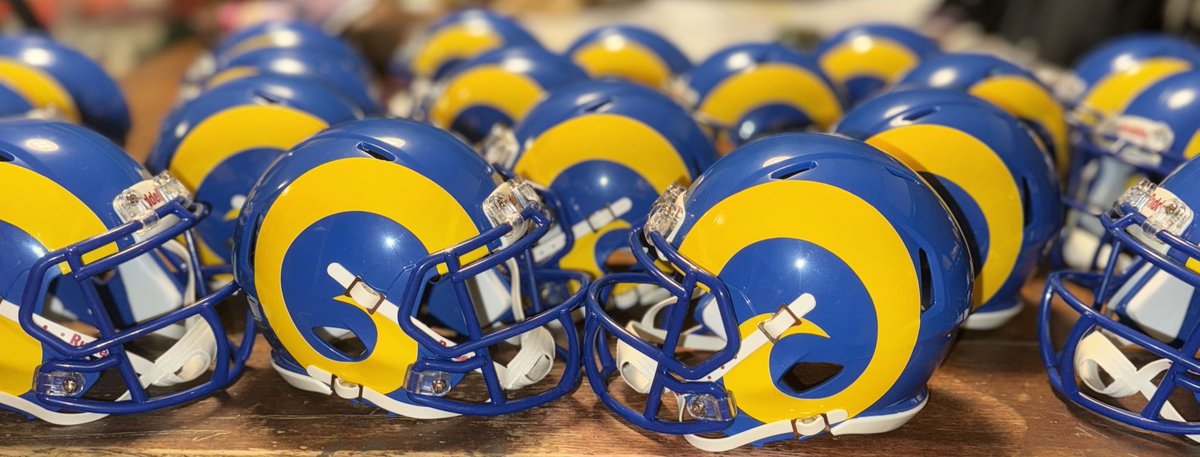 Matthewson’s Mini Helmets tweet media