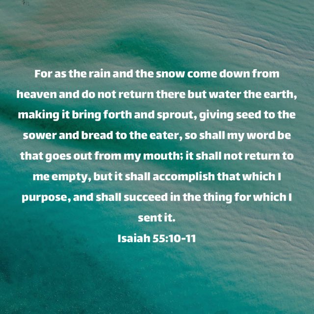 Carolyn Akens (@carolynakens) on Twitter photo 