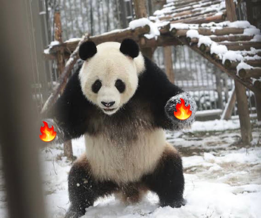 Oh！ぱンダ (@ohPanda777) / Posts / X