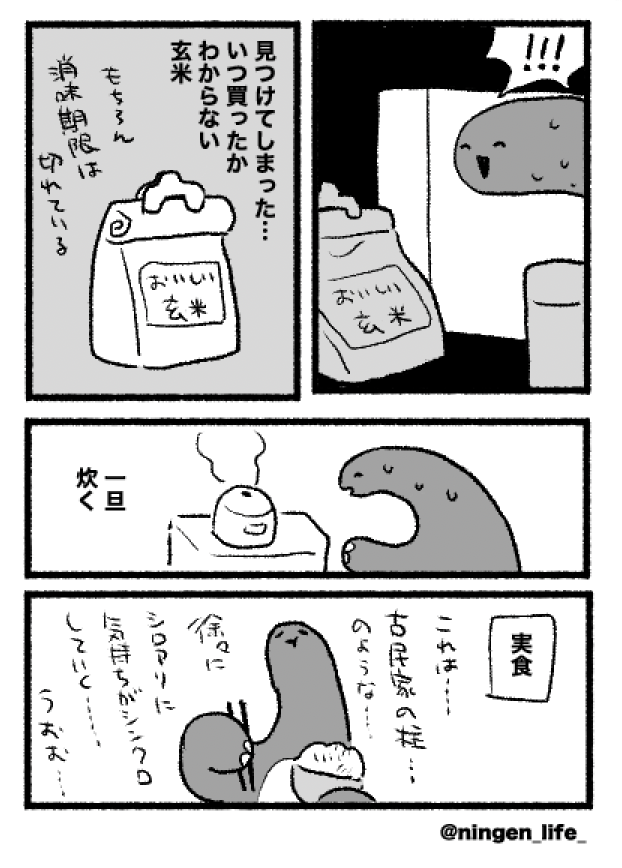 日記　🐜