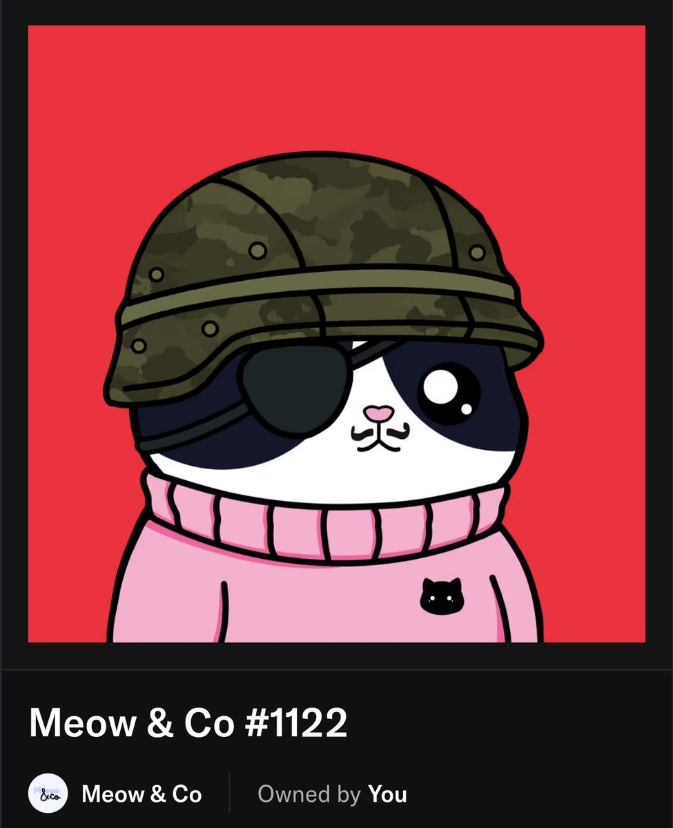 The "Camouflage Helmet"  has been secured into AGW. This cool NFT from <a href="/meow_co0/">Meow & Co.</a> is a free mint and is now worth $13. 👀🎉

Thanks, Meow and <a href="/AbstractChain/">Abstract</a>.
