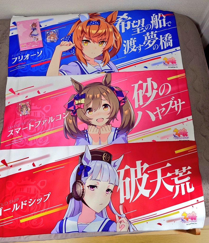 6th秋の事後通販で買った応援タオルとかが届いてた