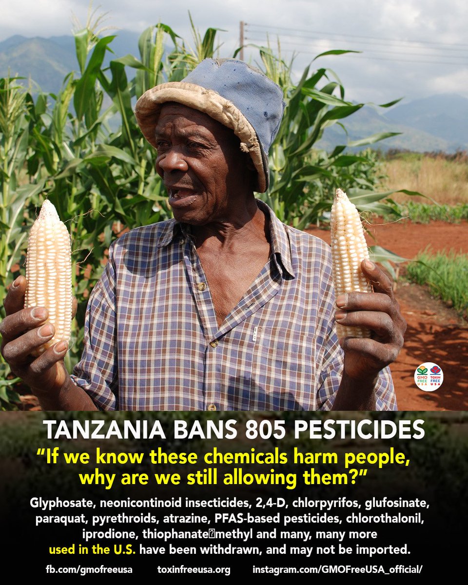 GMOFreeUSA's tweet photo. Tanzania has decided that being poor does not mean accepting the world’s most dangerous chemicals without resistance. In a bold move, the country announced that it is phasing out and banning 805 toxic pesticides citing risks to human health, plant life and the environment. Many of the most toxic are widely used in the U.S.

This is revolutionary, in the sense of asserting a fundamental reordering of what is acceptable. The pesticide industry is quaking in its boots, and is now intensely focused on Kenya’s next regulatory moves, and the political trajectory of East African harmonization with Tanzania policy. Stand strong, Africa! Don't be bullied.