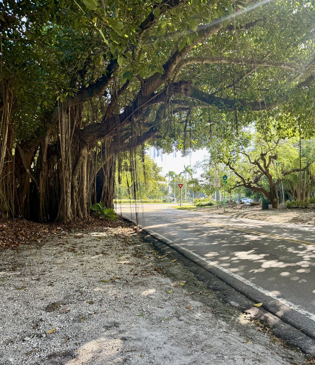 John Massengale AIA CNU 🚶‍♀️🚶🚶‍♂️🚴‍♂️🇺🇦 tweet media