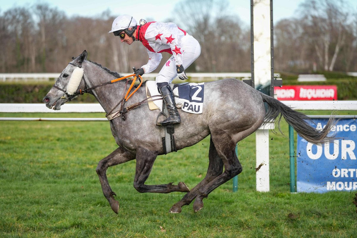 Canalturf tweet media