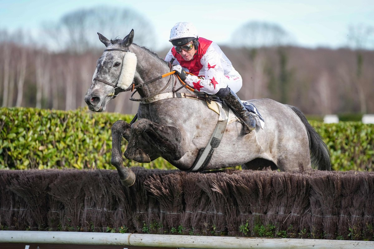 Canalturf tweet media