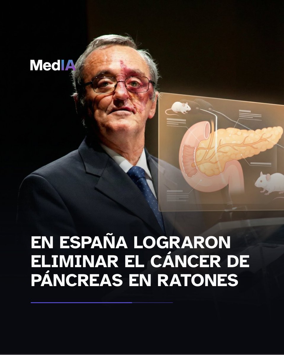 Avance clave contra el cáncer de páncreas

En España, un equipo liderado por Mariano Barbacid logró eliminar tumores de páncreas en ratones por primera vez, combinando tres fármacos para evitar resistencias. Es un avance preclínico que ahora busca probarse en humanos.