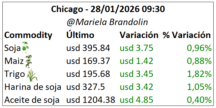Chicago se pinta de verde 🌱