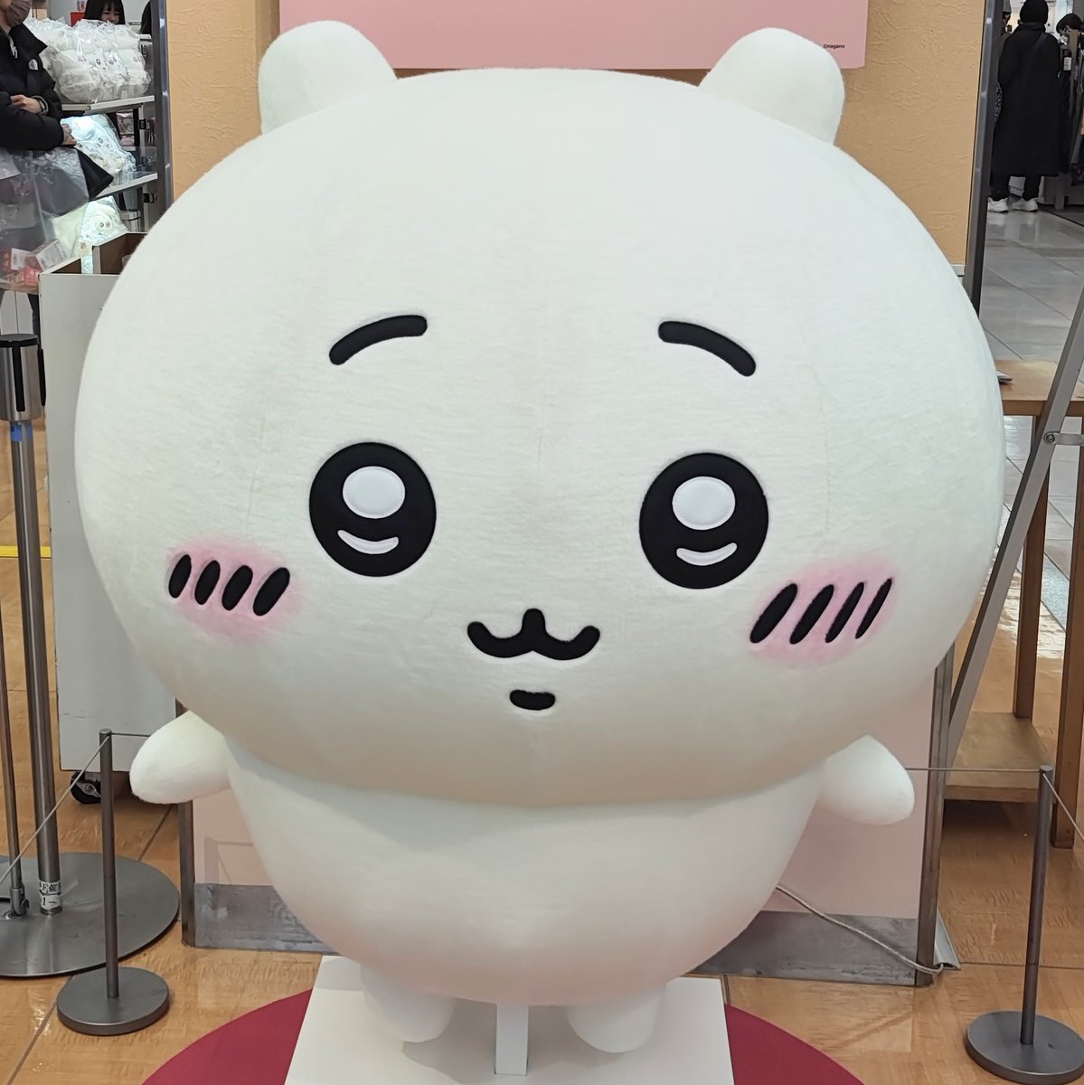 海牛 (@umiushi1221) / Posts / X