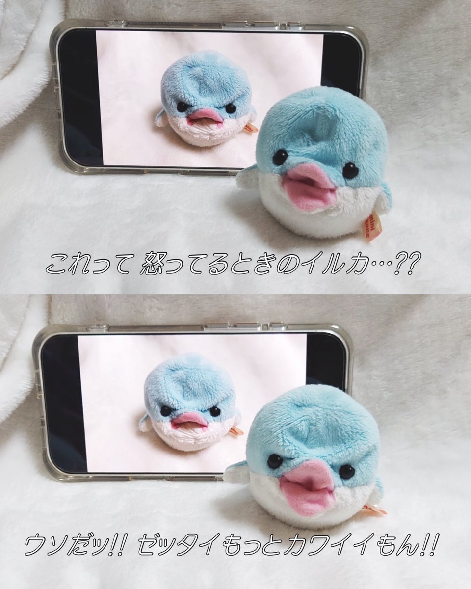 専用✧新品✧おまとめ8点 ⚪️ (@e88725) / Posts / X