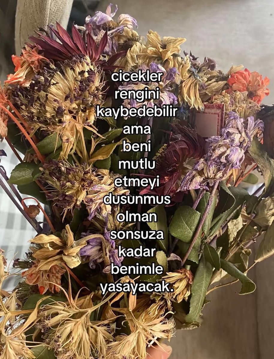 Alnı Öpülesi Tivitler (@alniopulesitivt) on Twitter photo 