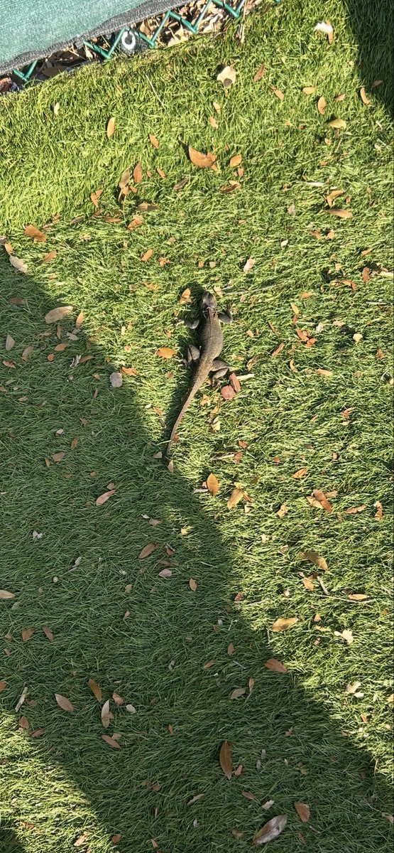 Erin Guy tweet media