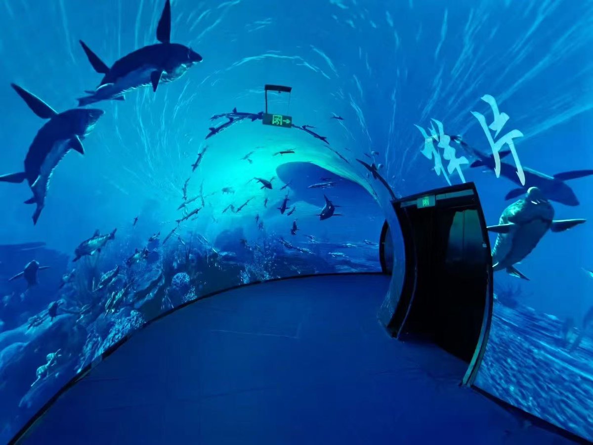LED tunnel! 
LED Underwater World Tunnel!
Is looks so great！？
We use the flexible led module to make it!
#Curved #Flexible #ledpanel #ledvideowall #leddisplayscreen #customized #factory #events #GOB 
More details: call Tracy now: +86 183 1684 3344