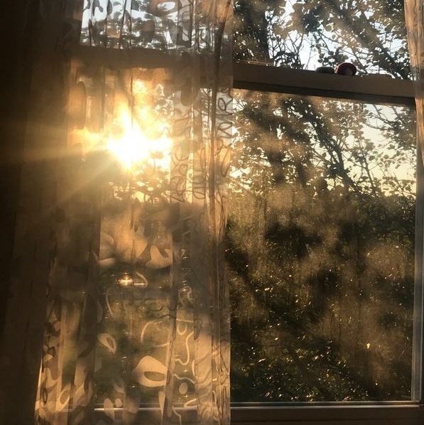 chie 🌼 tweet media