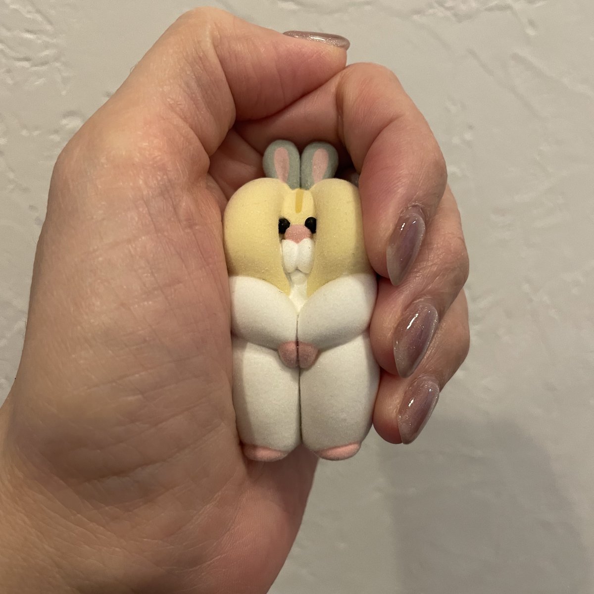 きんちゃん🍏 (@sckaoringo) / Posts / X