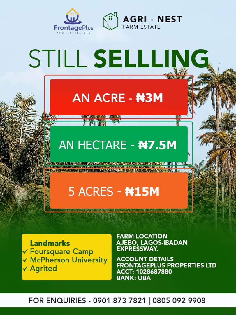 Amos Adeyinka tweet media