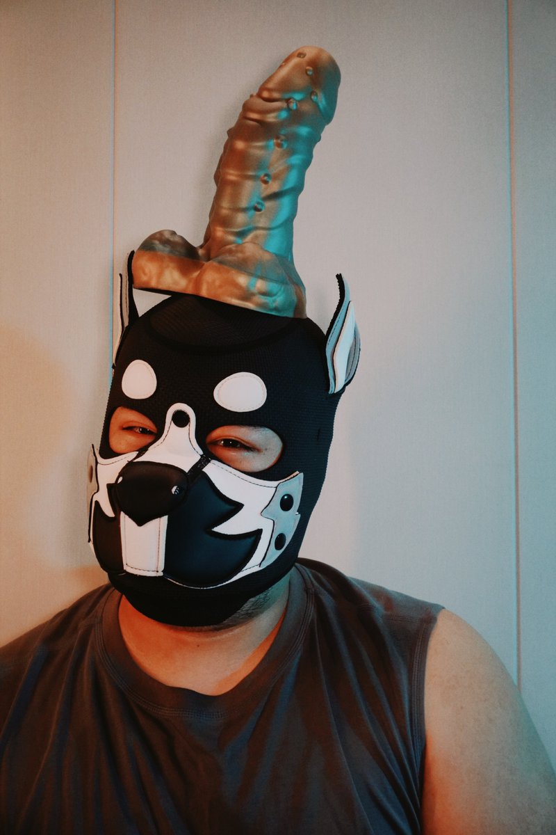 来福🐶 tweet media