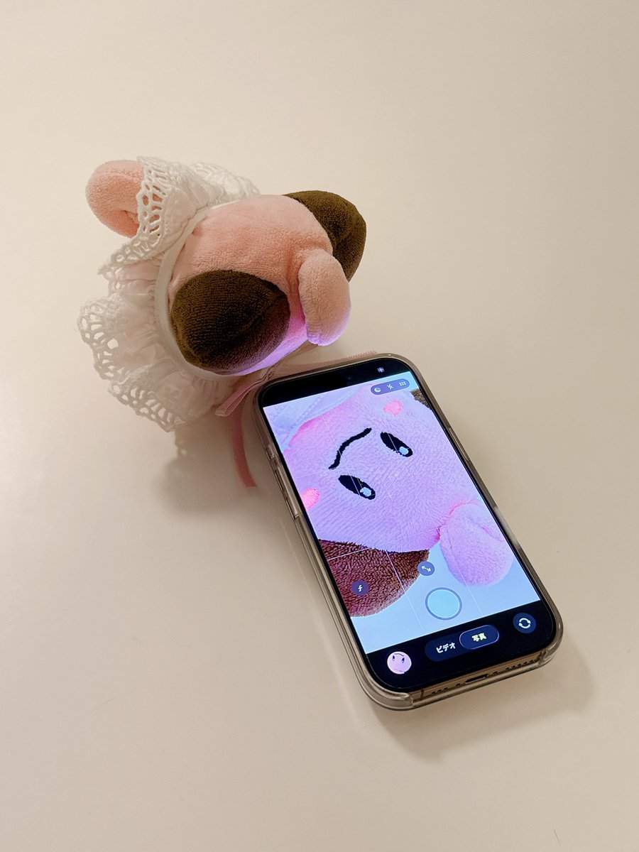 ピィたん tweet media