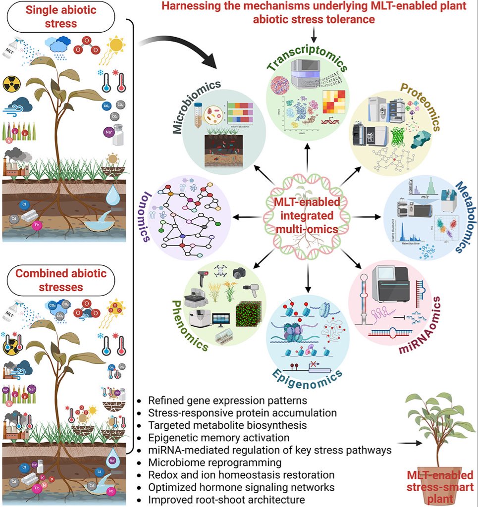 Ale_Raza6's tweet photo. A graphic scheme shows how #melatonin-enabled multi-#omics tools can be employed to harness and #reprogram the #mechanisms by which plants respond and tolerate single or #combined #abiotic stresses
π https://t.co/whOlE6RGl9
@sci_plant #PlantScience @SiDDMaliCk @AgBioWorld https://t.co/WnkdKPgTm2