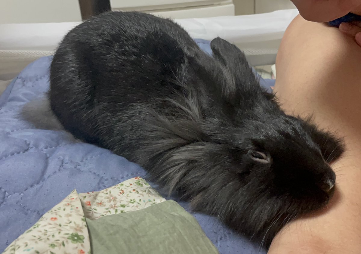 이선희🍀 tweet media