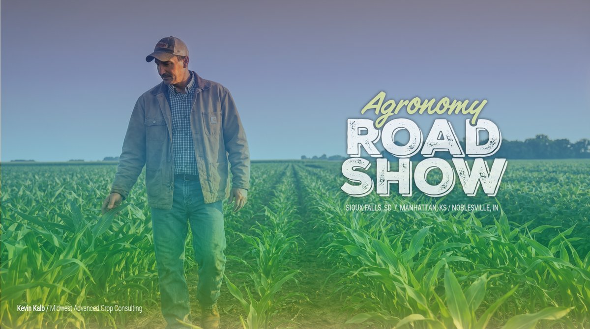 BW Fusion tweet media