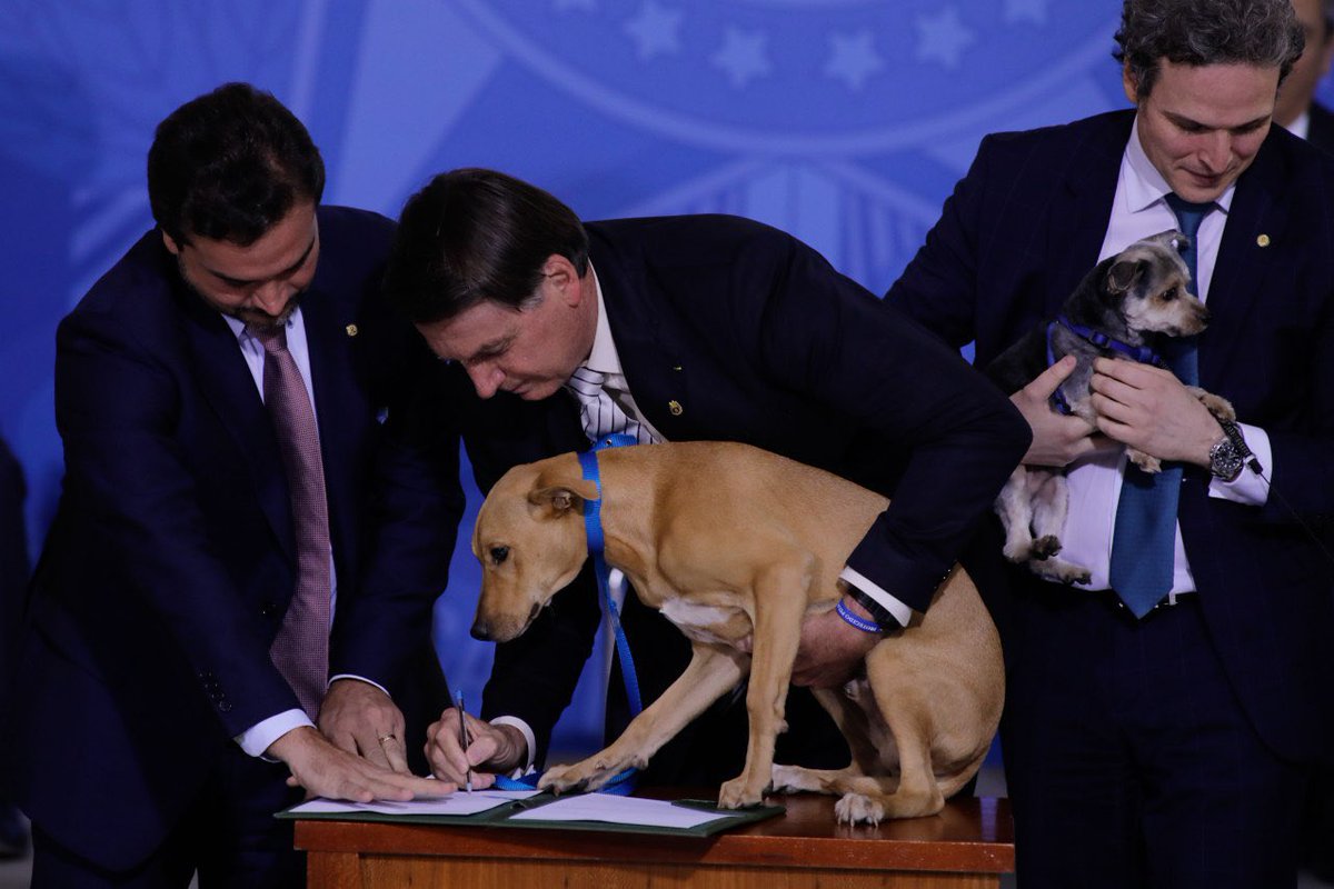 Boletim Verde e Amarelo tweet media