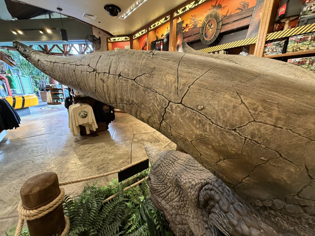 magiccitymayhem's tweet image. FIRST LOOK! Say good morning to the newest resident of Jurassic Outfitters! @UniversalORL @JurassicWorld