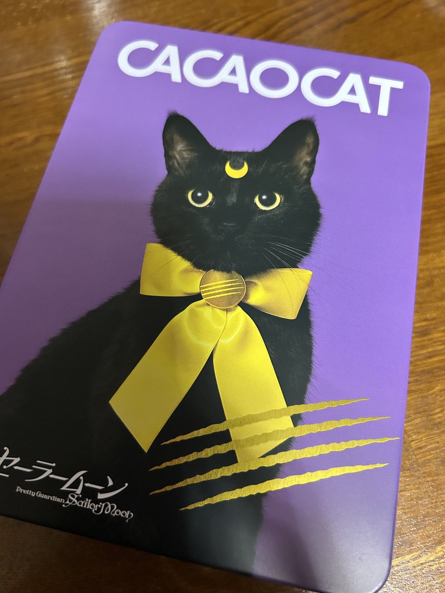 木野聡子 | Akiko Kino (@a_kinokino) / Posts / X