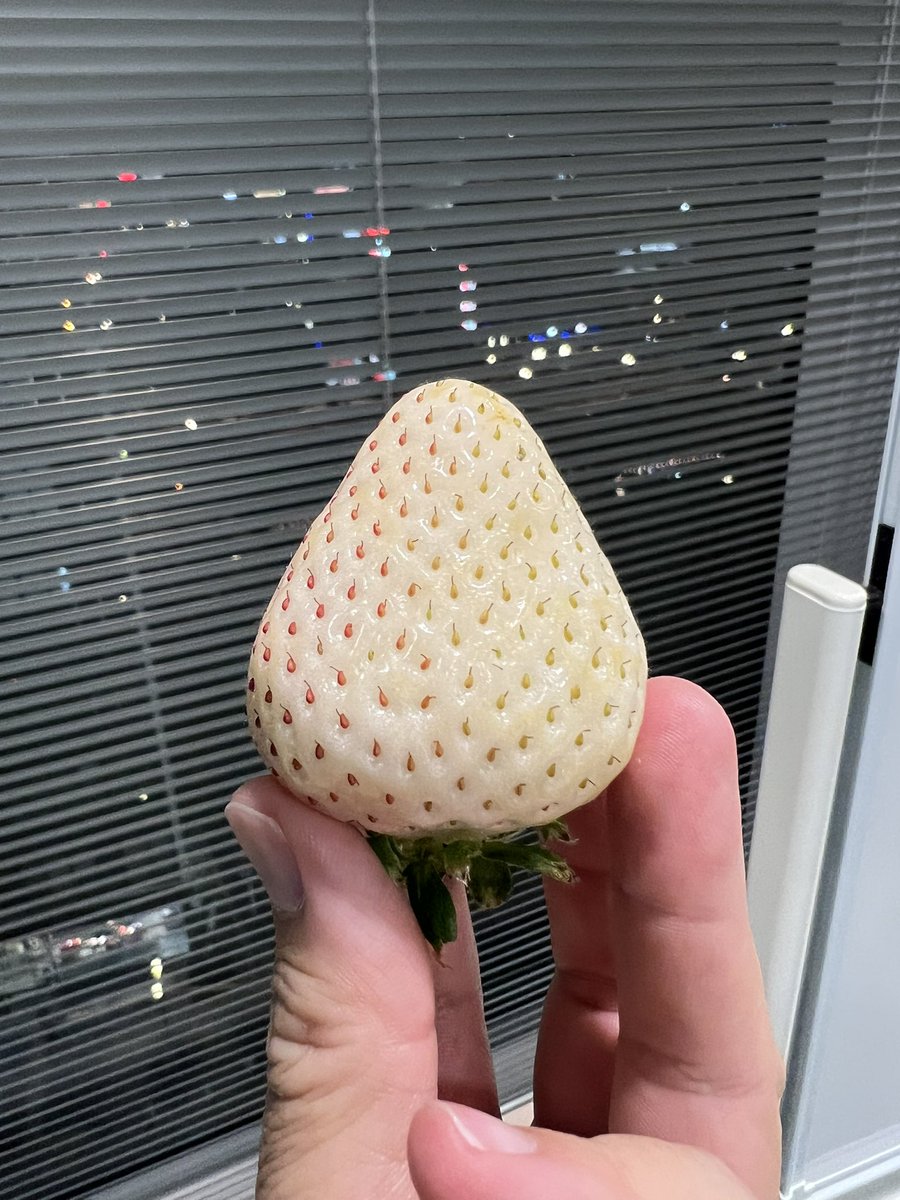 伊都きんぐ【公式】 tweet media