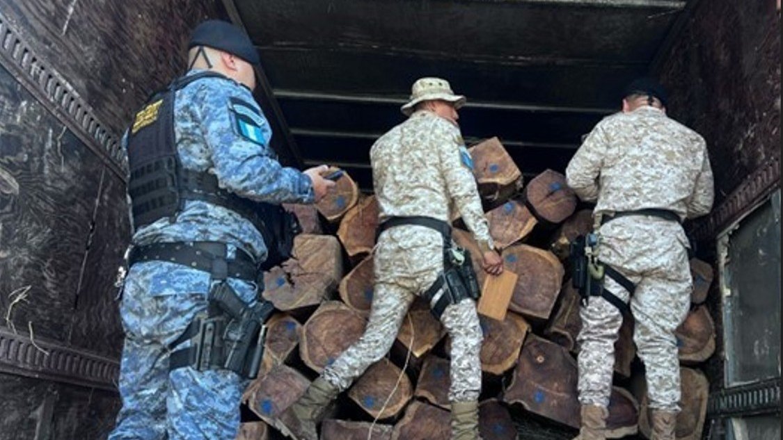 ENVIRONMENTAL CRIME tweet media