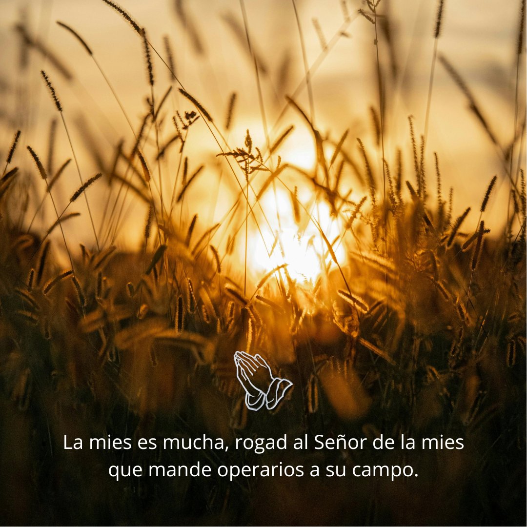 Misiones Navarra OMP (@misionesnavarra) on Twitter photo 