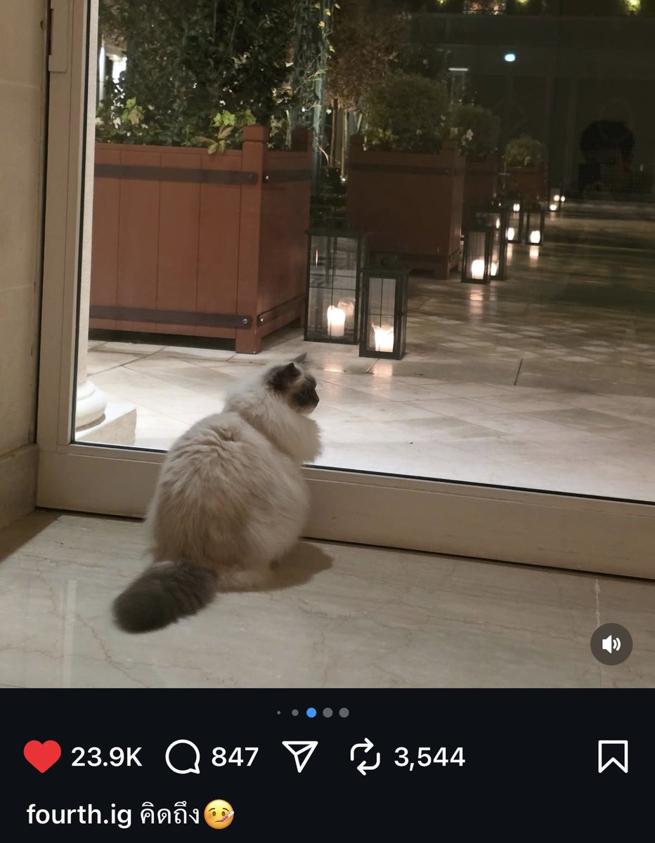 fourjunately's tweet image. คิดถึงใครน้อ