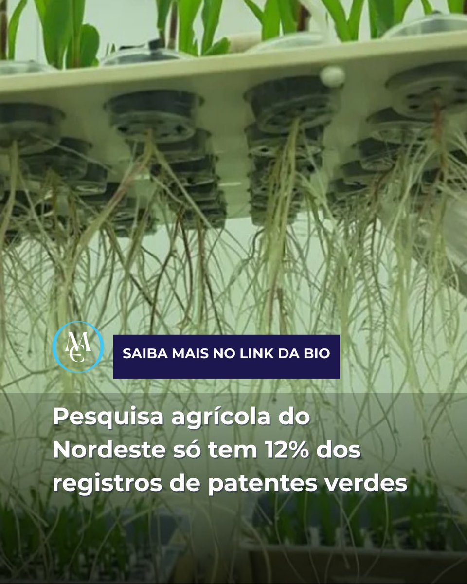 Pesquisa agrícola do Nordeste só tem 12% dos registros de patentes verdes movimentoeconomico.com.br/agronegocio/20…