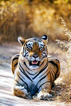 Han sanghyun tweet media