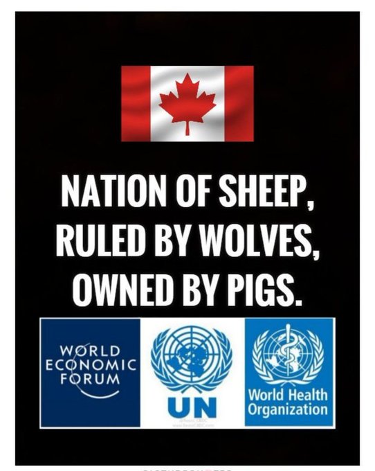 SemperVeritasX's tweet image. Good morning, Canada. We are not a free people, and it's never been more evident. Rise and shine.