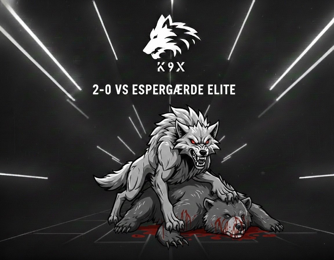 K9X Esport tweet media