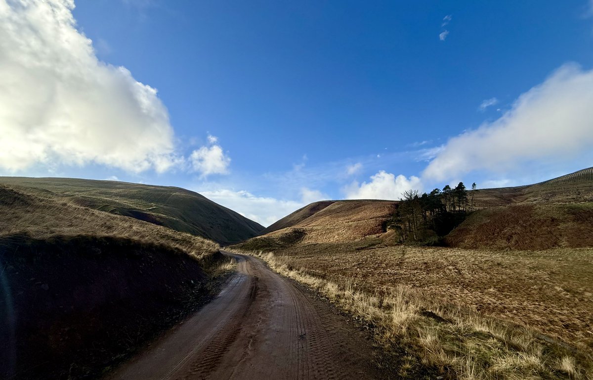 WindyWilson88's tweet image. Solitude and gratitude . . . 

*Wednesday January 28th 14:00 

Windy says not long back in wae the dogs. Almost spring like out there today for me

“and in the stillness, I remembered how much there is to appreciate” 

#nature #photography #solitude #gratitude